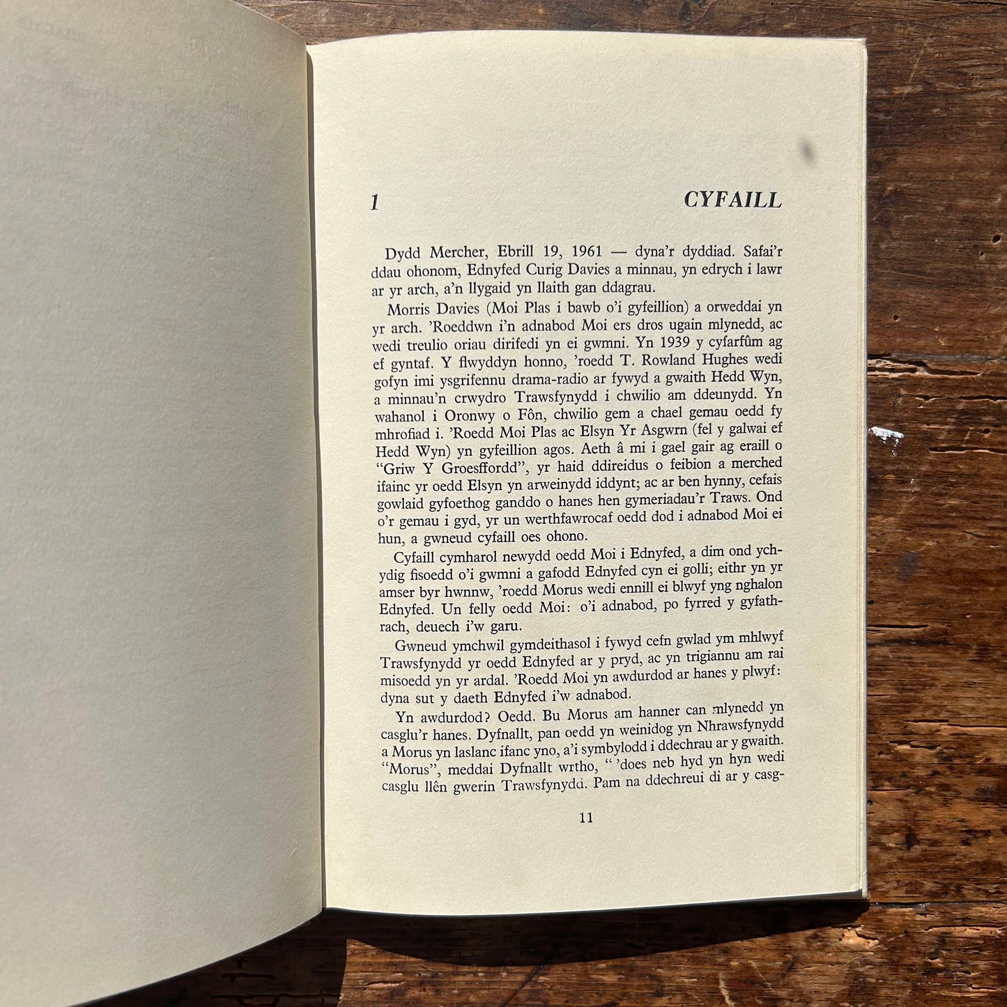 Moi Plas - John Ellis Williams - 1969 1st Edition (Preloved)