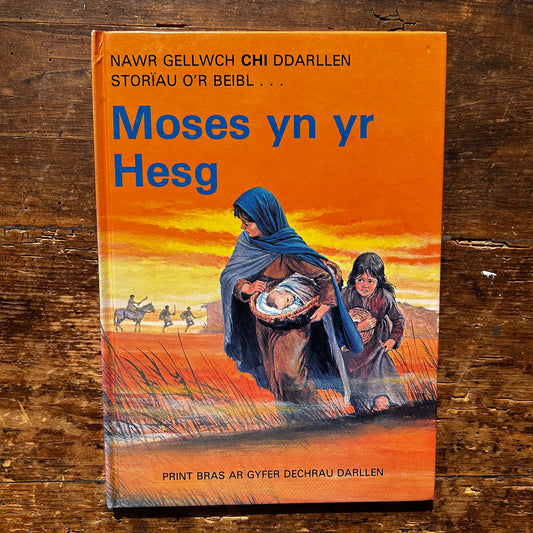 Moses yn yr Hesg - Nawr Gellwch Chi Ddarllen - Storiau O'r Beibl - 1982 (Preloved)