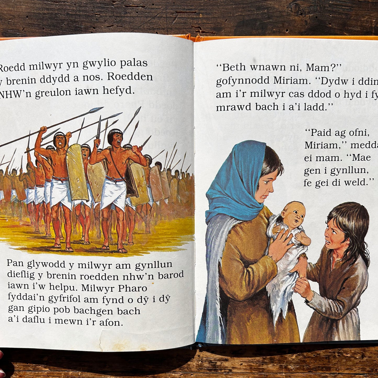 Moses yn yr Hesg - Nawr Gellwch Chi Ddarllen - Storiau O'r Beibl - 1982 (Preloved)