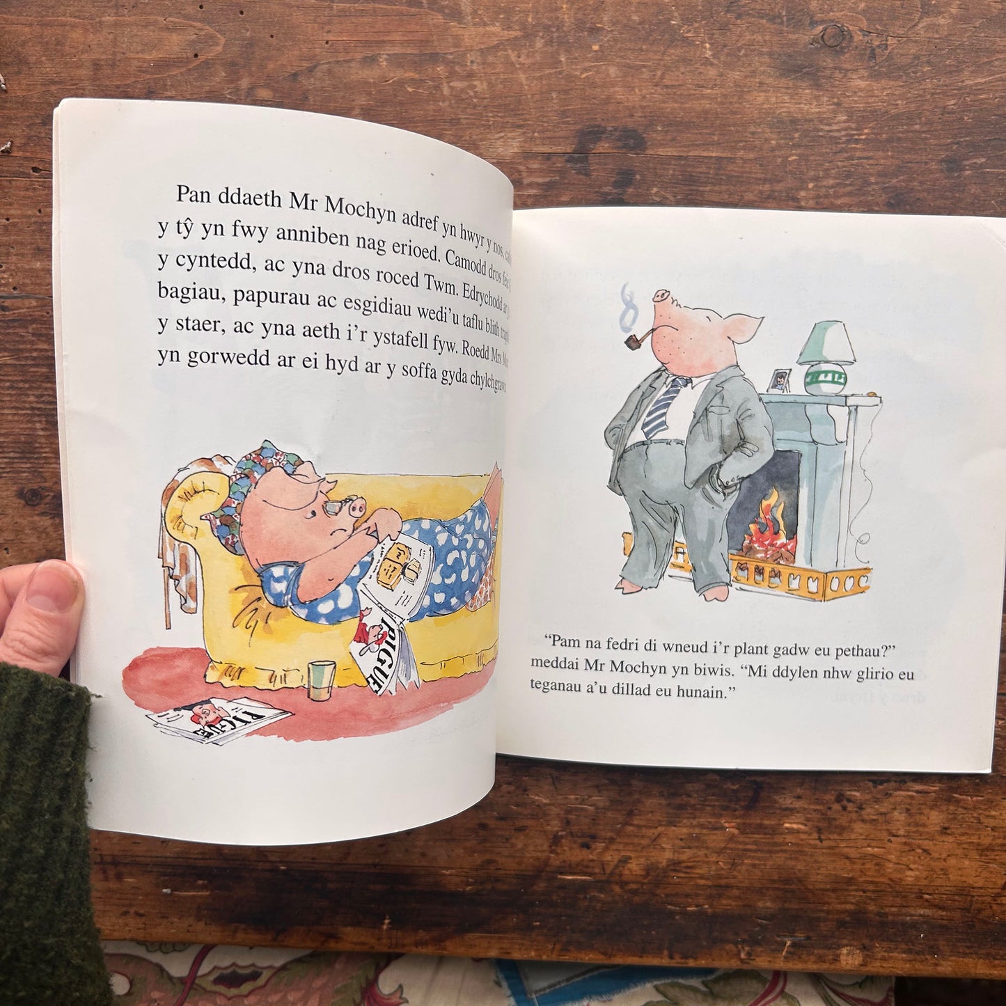 Mrs Mochyn Yn Colli'i Thymer - Mary Rayner - 1996 (Preloved)