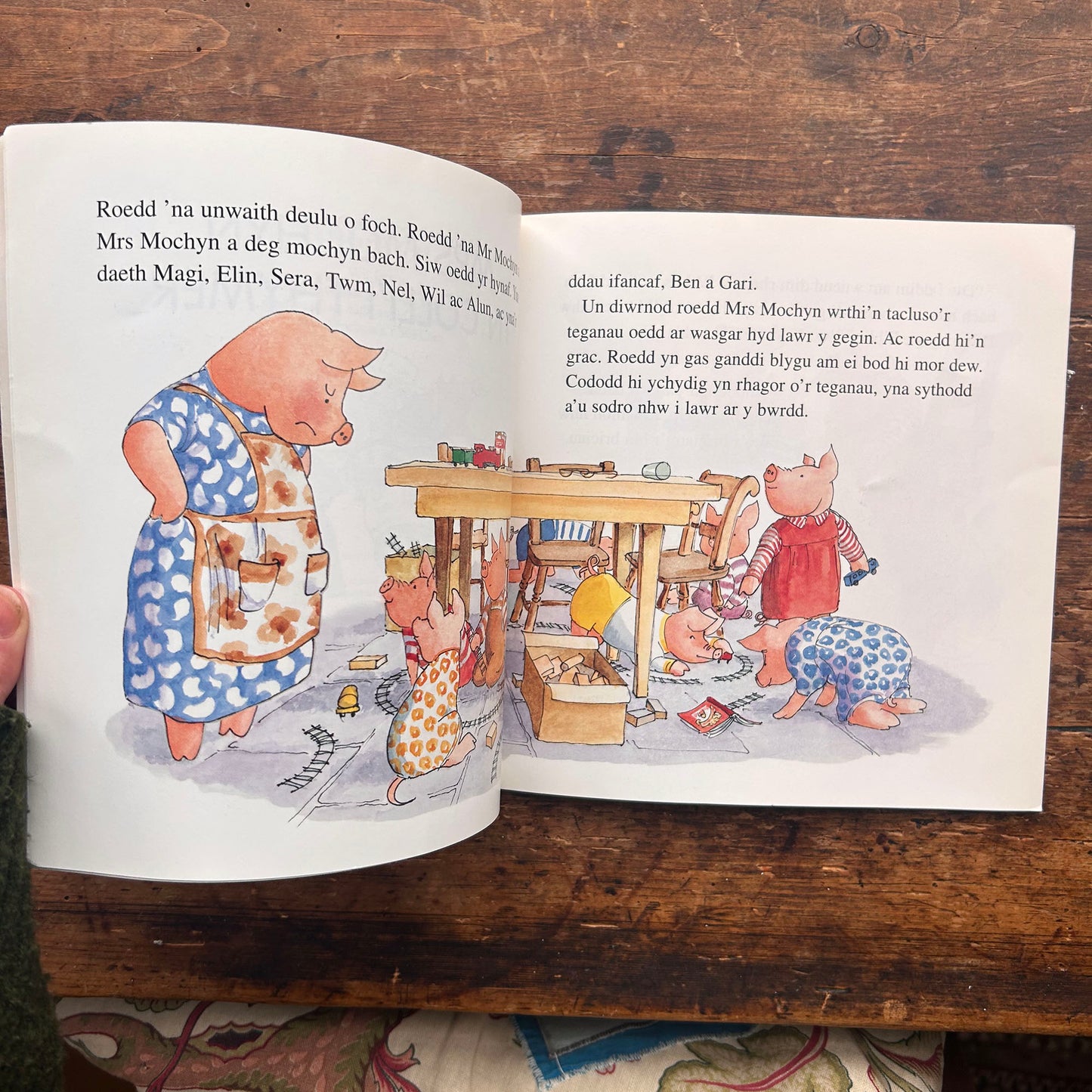 Mrs Mochyn Yn Colli'i Thymer - Mary Rayner - 1996 (Preloved)