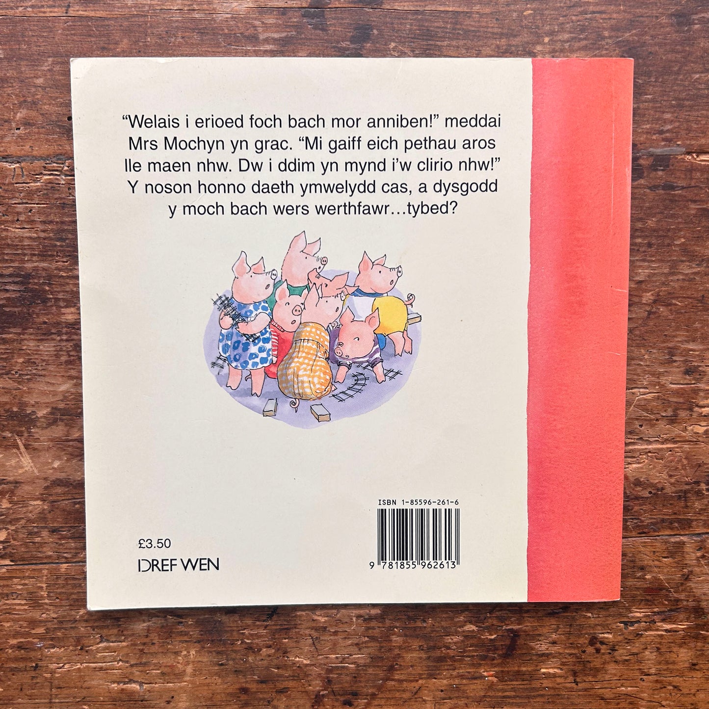 Mrs Mochyn Yn Colli'i Thymer - Mary Rayner - 1996 (Preloved)