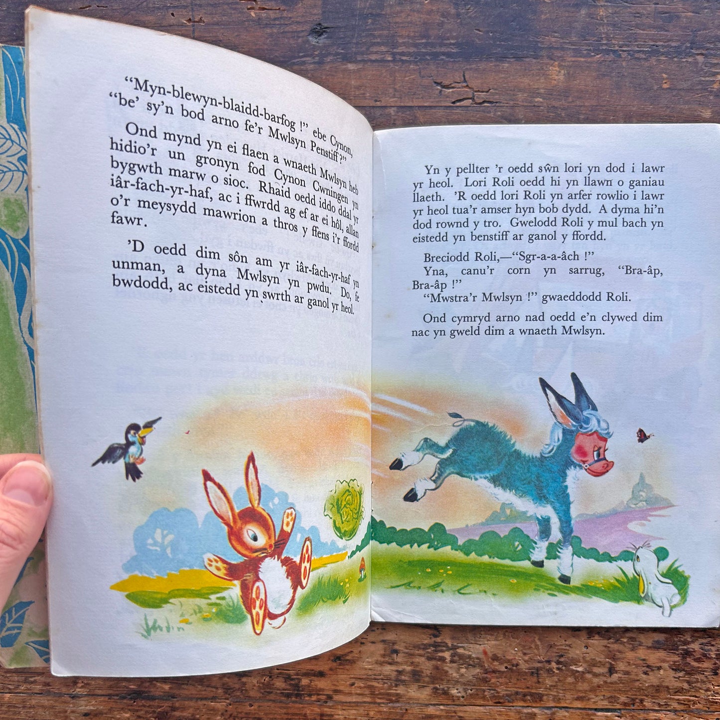 Mwlsyn Y Mul Penstiff - Cyfres y Frân Wen (Preloved)