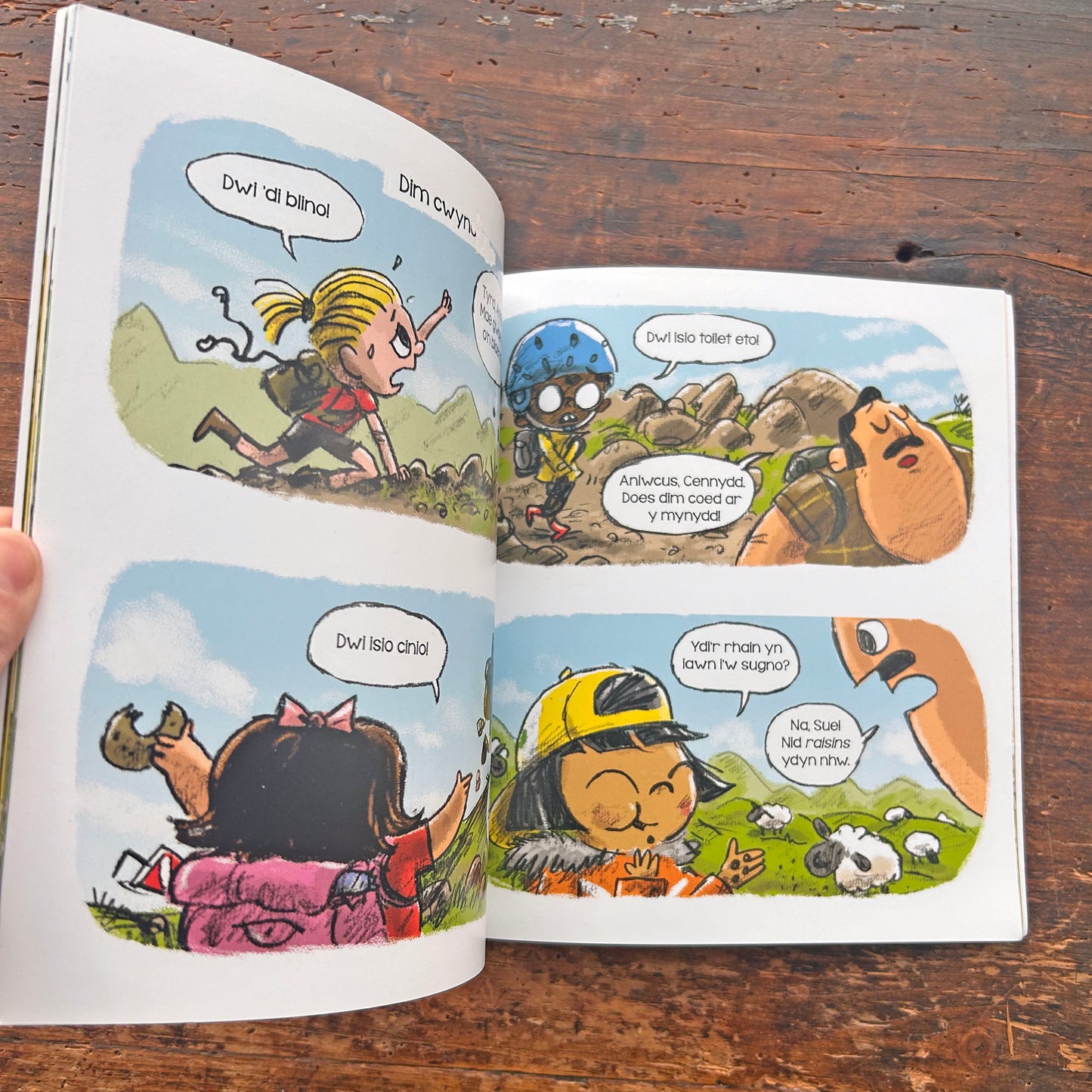 Mynydd i'w Ddringgo (Preloved)