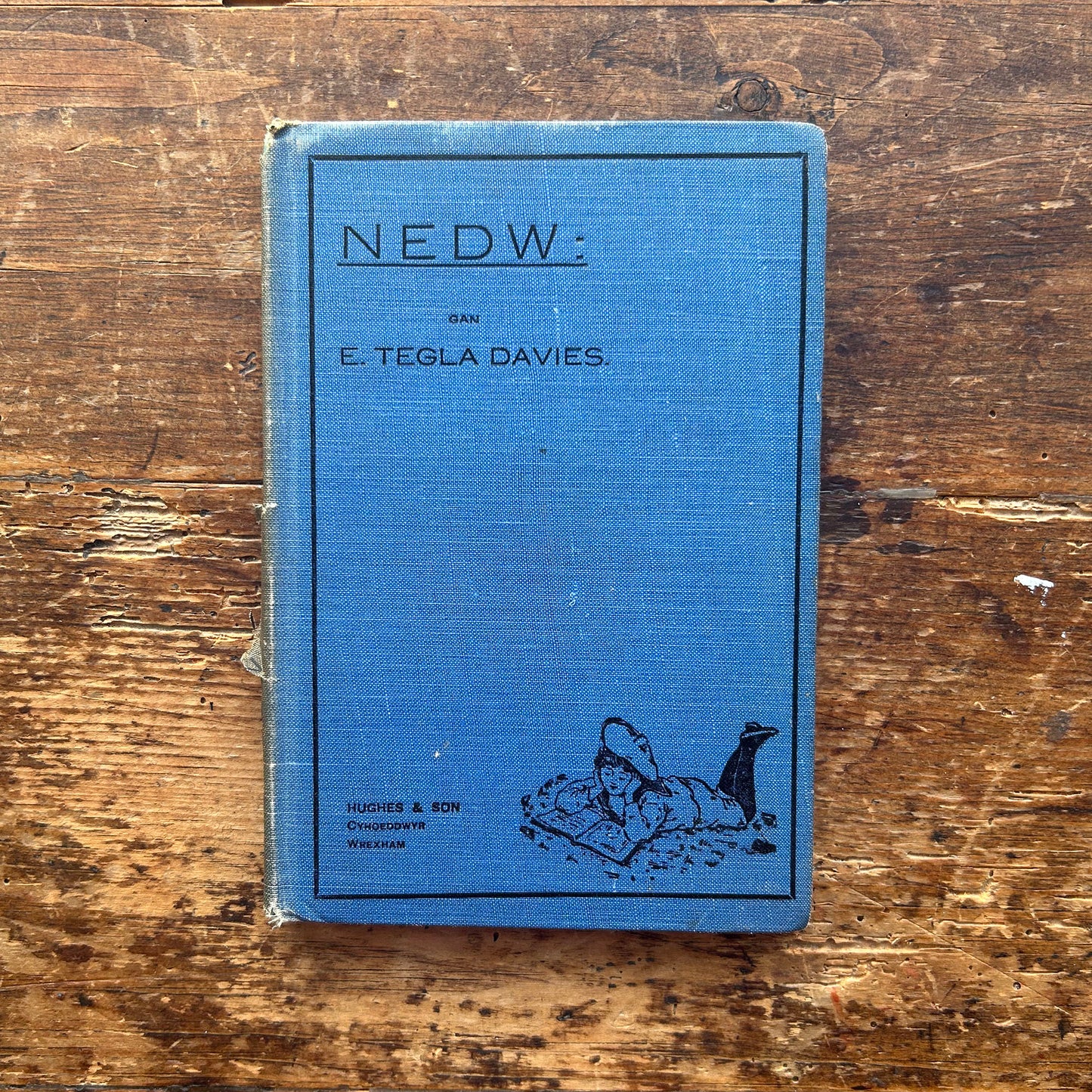 Nedw - E. Tegla Davies - Blue Boards - 1922 (Preloved)