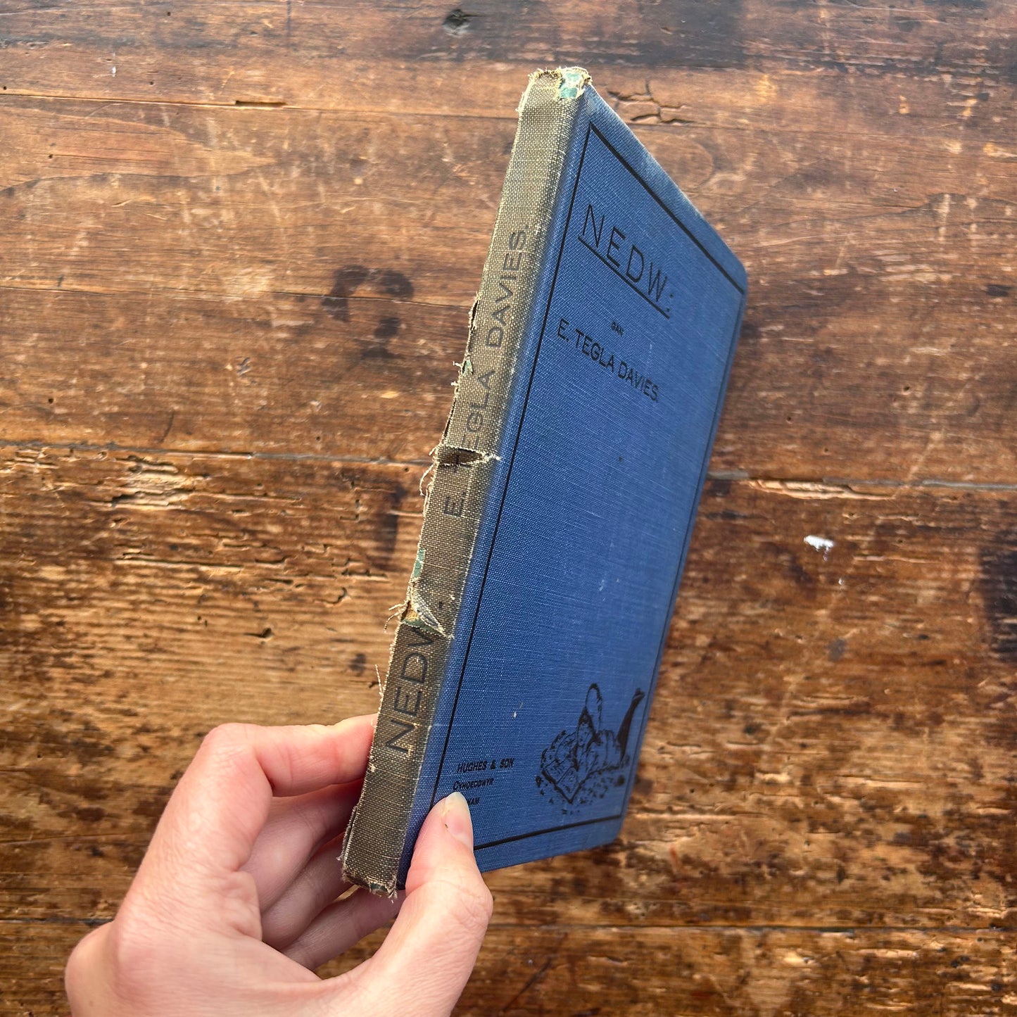Nedw - E. Tegla Davies - Blue Boards - 1922 (Preloved)