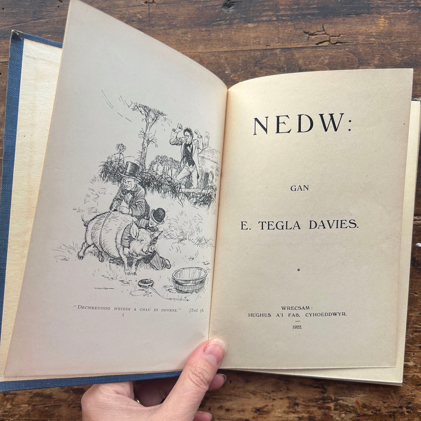 Nedw - E. Tegla Davies - Blue Boards - 1922 (Preloved)