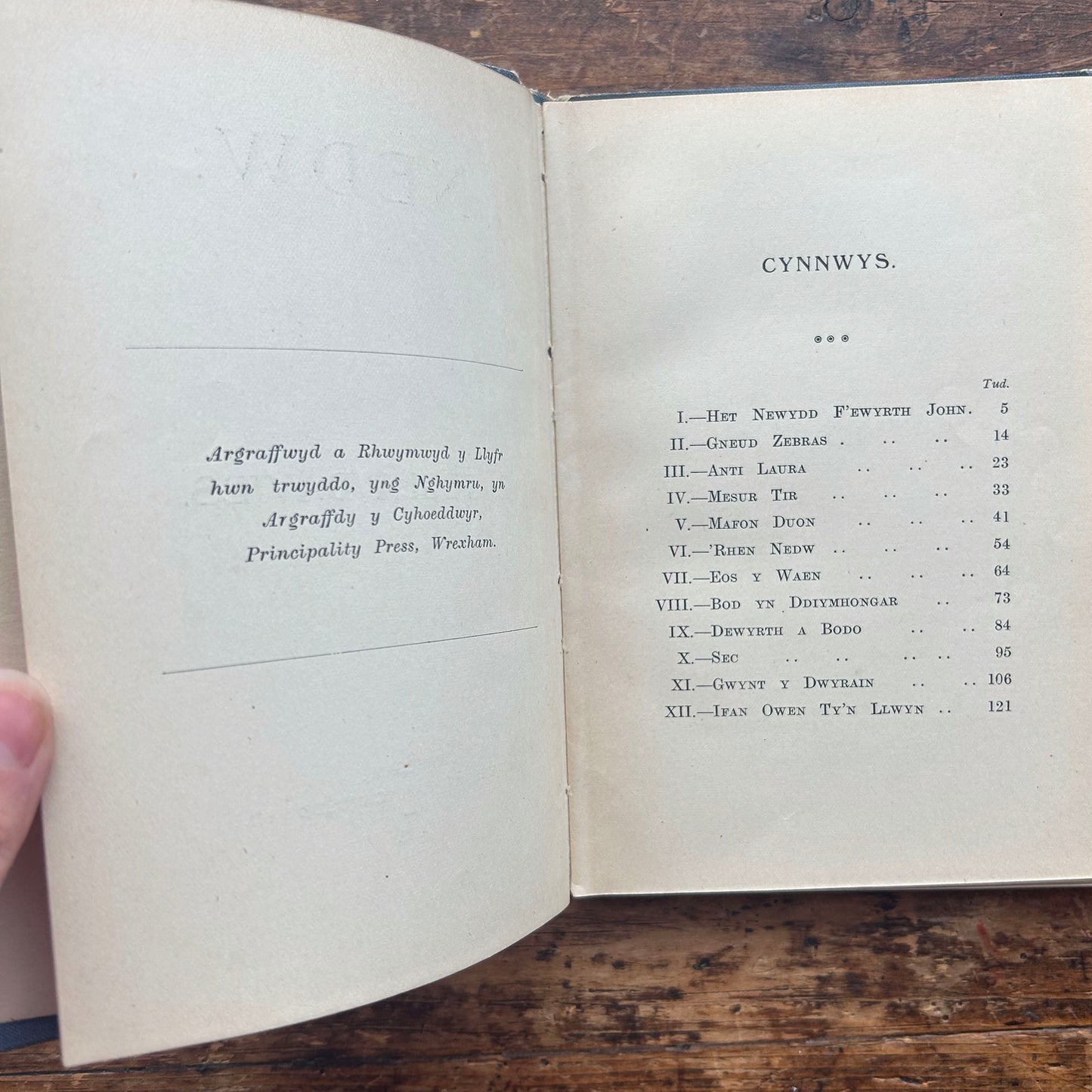 Nedw - E. Tegla Davies - Blue Boards - 1922 (Preloved)