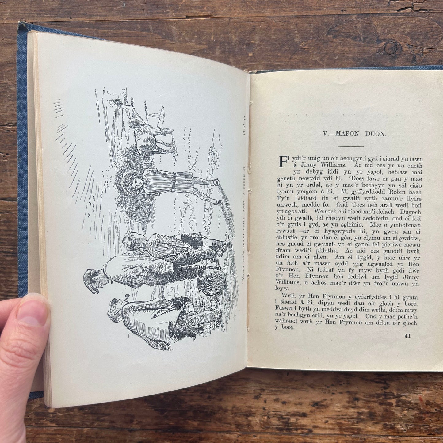 Nedw - E. Tegla Davies - Blue Boards - 1922 (Preloved)