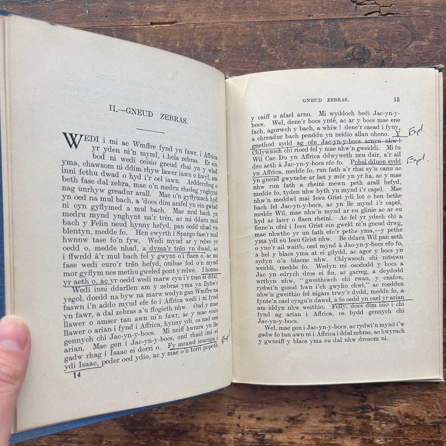 Nedw - E. Tegla Davies - Blue Boards - 1922 (Preloved)