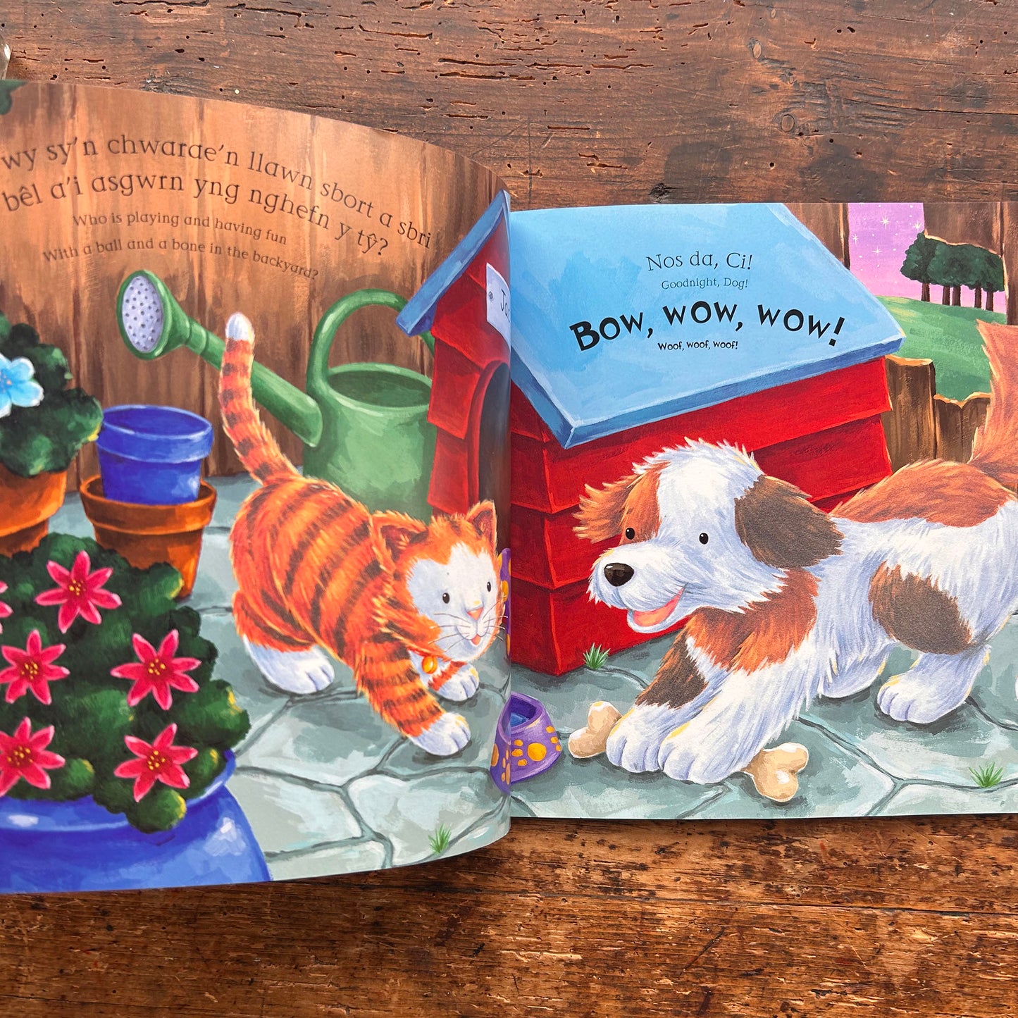 Nos Da, Anifeiliaid! Goodnight Animals! (Preloved)