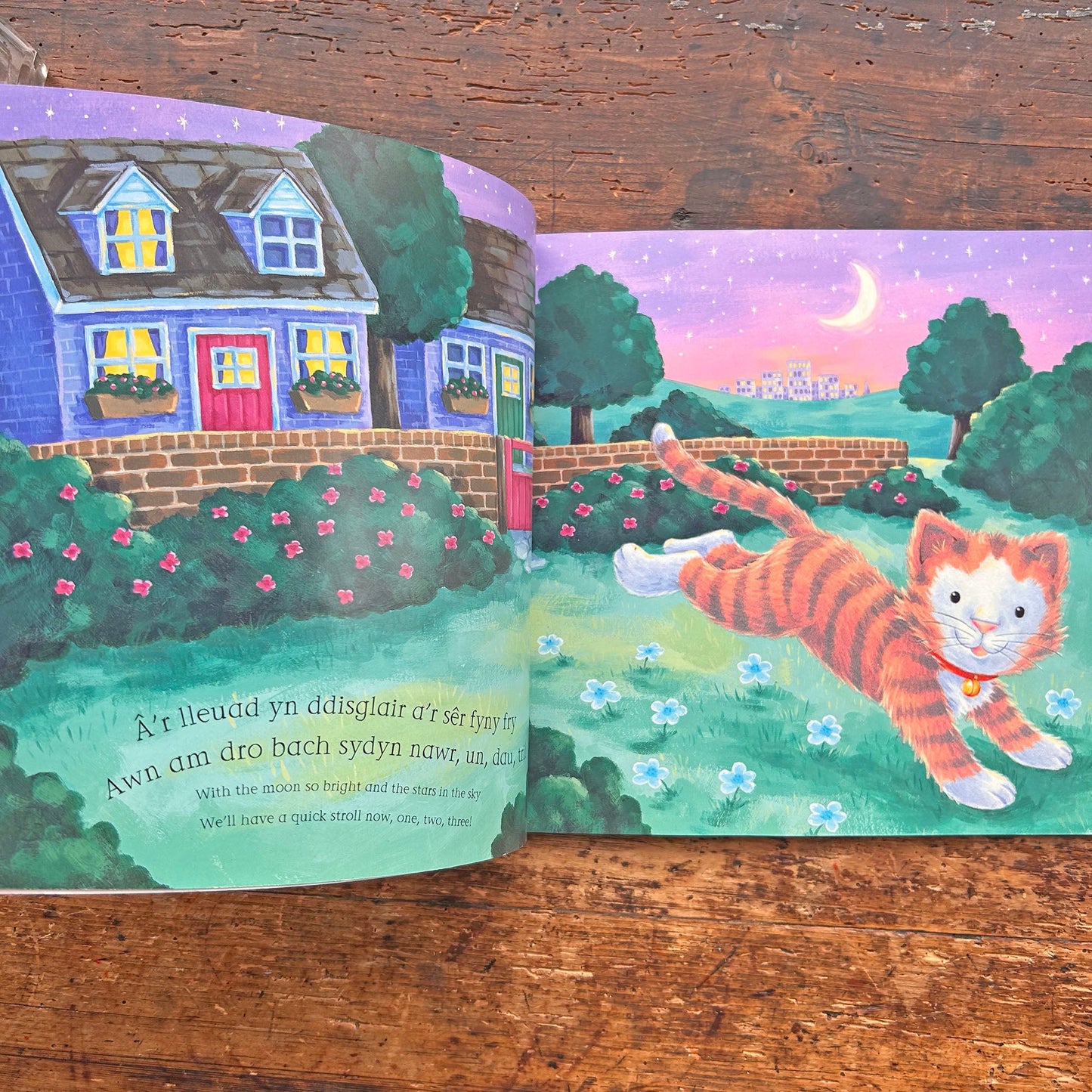 Nos Da, Anifeiliaid! Goodnight Animals! (Preloved)