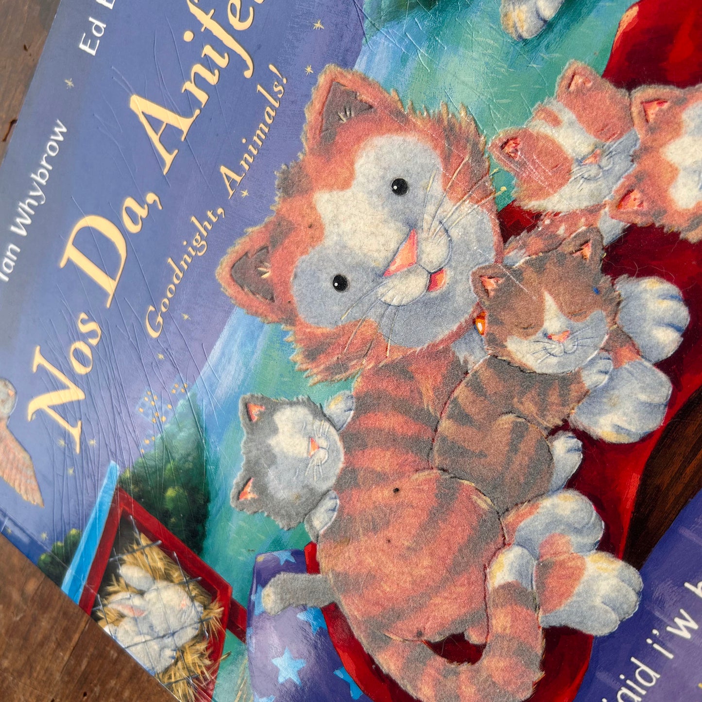 Nos Da, Anifeiliaid! Goodnight Animals! (Preloved)