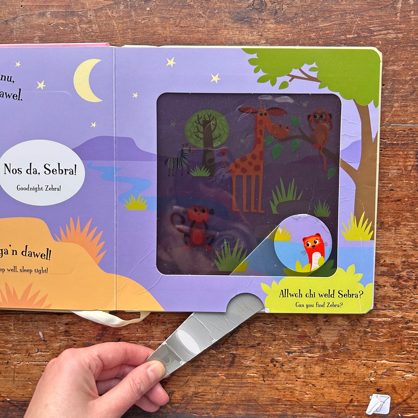 Nos Da Llew / Goodnight Lion - Magic Torch (Preloved)