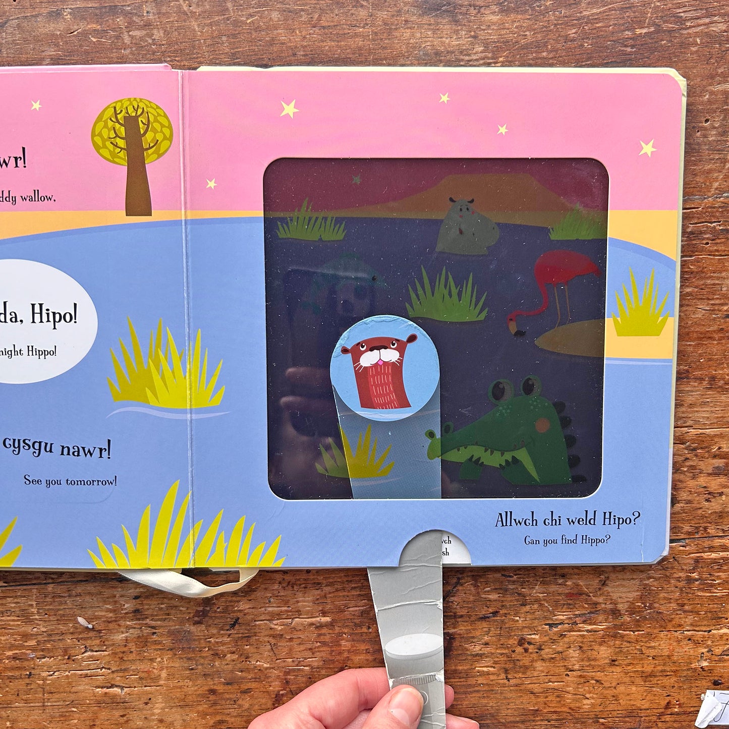 Nos Da Llew / Goodnight Lion - Magic Torch (Preloved)