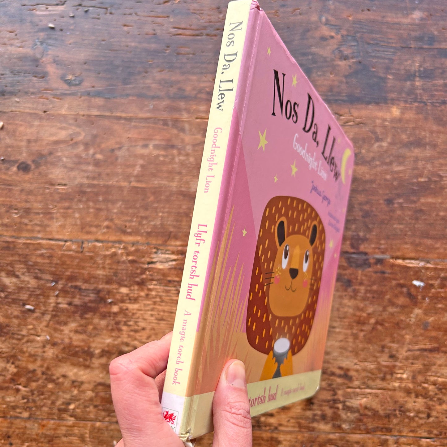 Nos Da Llew / Goodnight Lion - Magic Torch (Preloved)