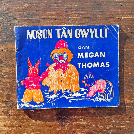 Noson Tân Gwyllt  - Megan Thomas - Vintage Welsh Book 1970 (Preloved)