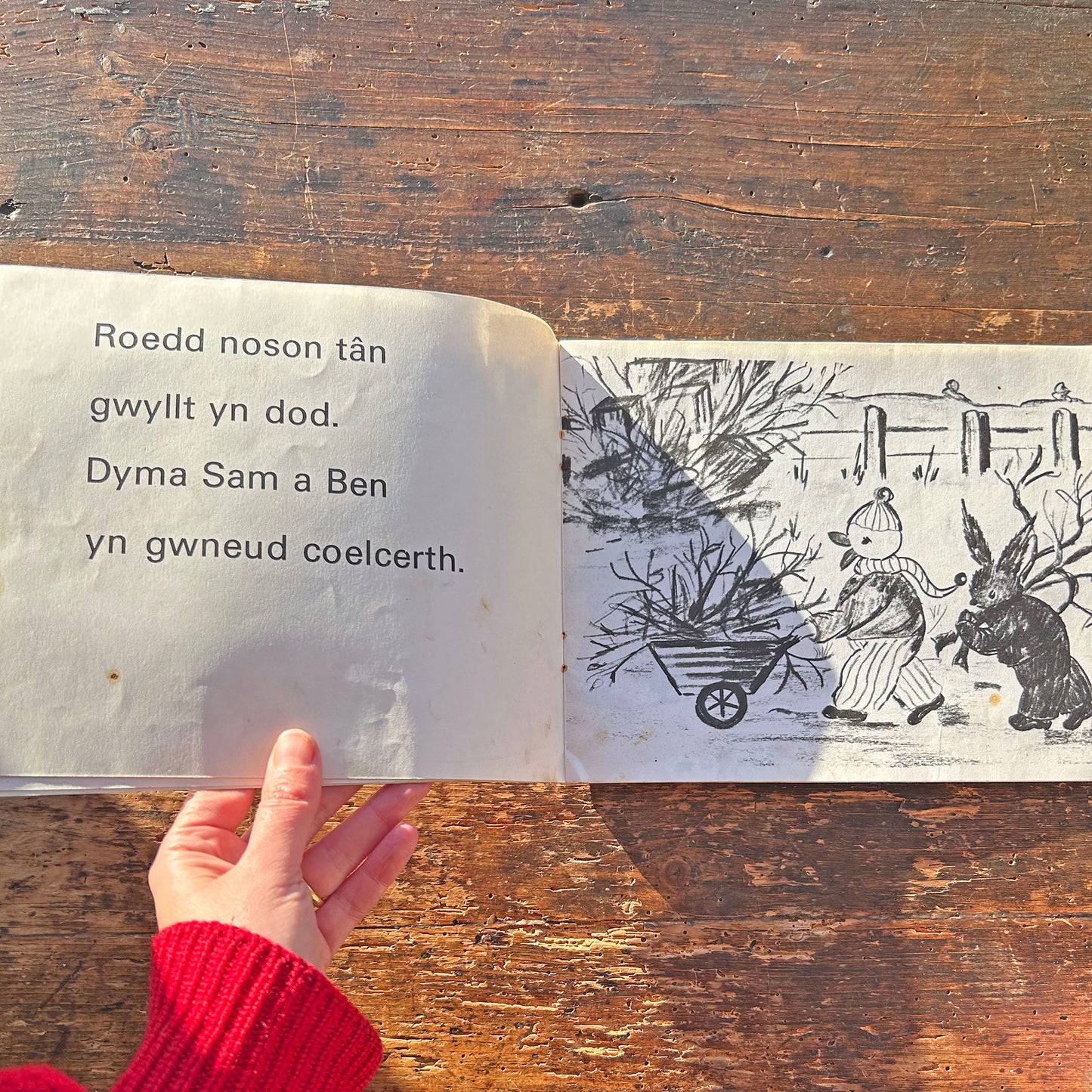 Noson Tân Gwyllt  - Megan Thomas - Vintage Welsh Book 1970 (Preloved)