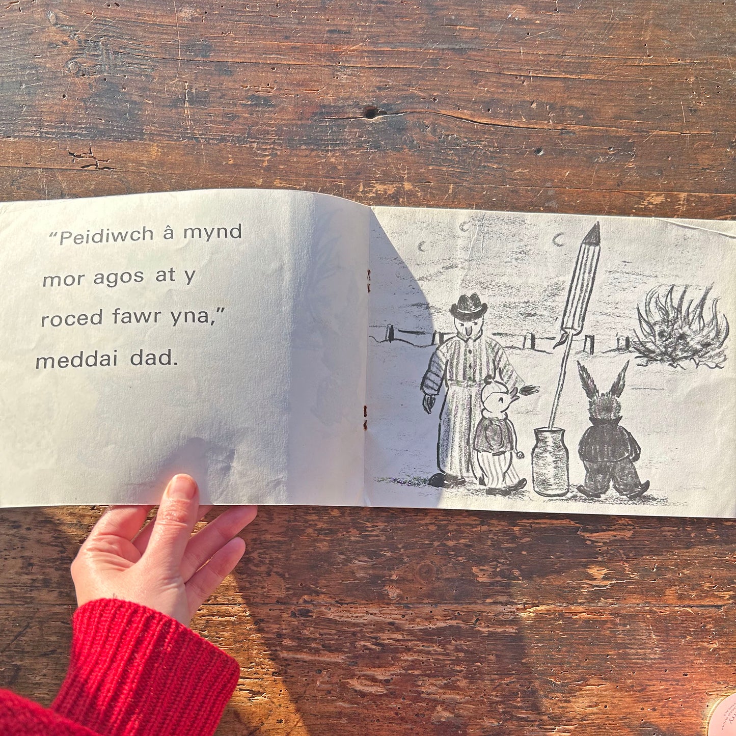 Noson Tân Gwyllt  - Megan Thomas - Vintage Welsh Book 1970 (Preloved)