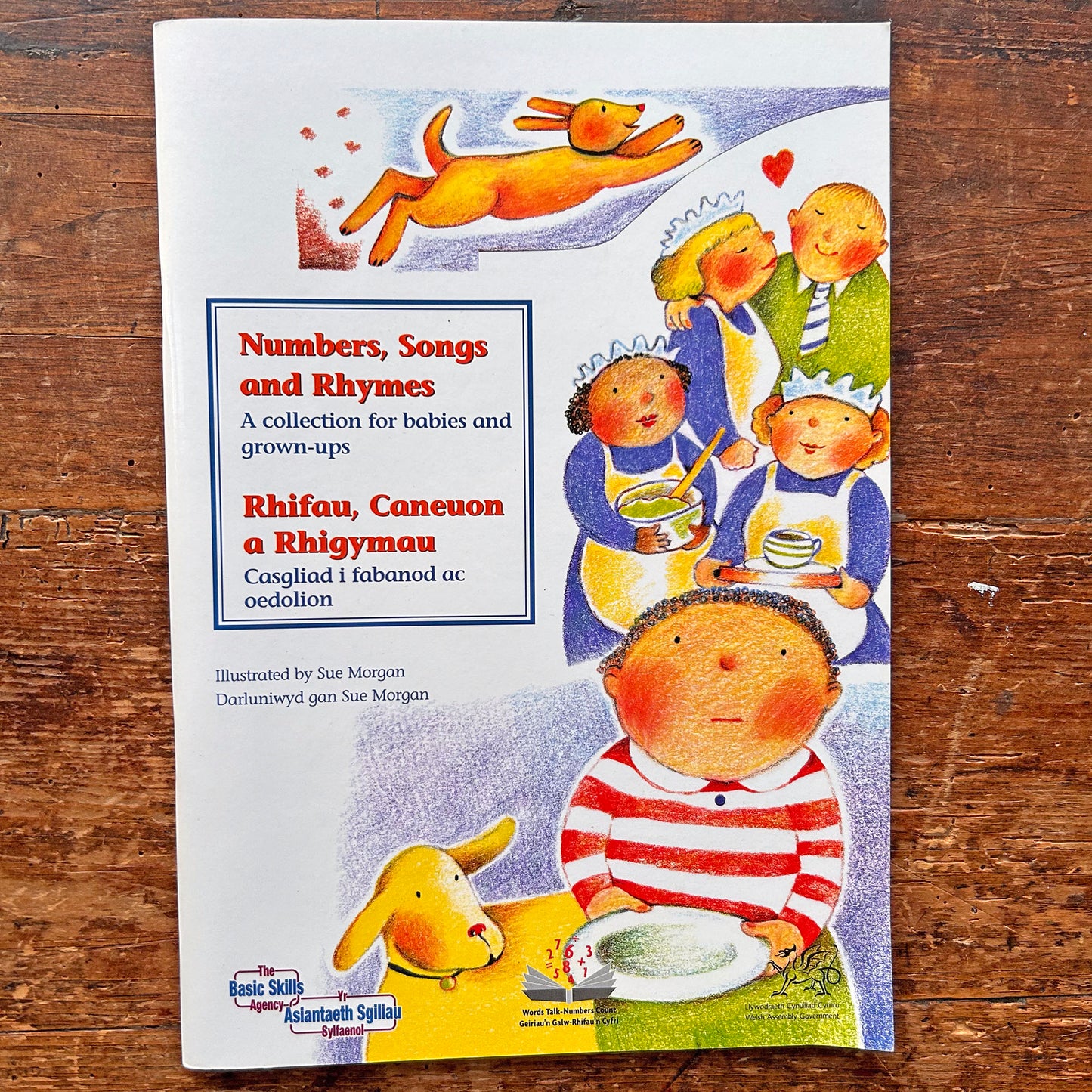 Numbers, Songs and Rhymes / Rhifau Caneuon a Rhigymau + CD (Preloved / Like New)