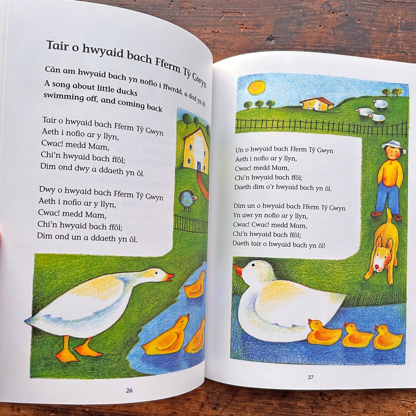 Numbers, Songs and Rhymes / Rhifau Caneuon a Rhigymau + CD (Preloved / Like New)