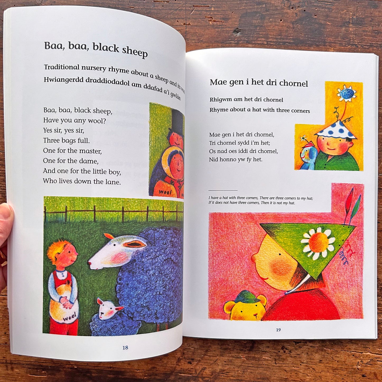 Numbers, Songs and Rhymes / Rhifau Caneuon a Rhigymau + CD (Preloved / Like New)