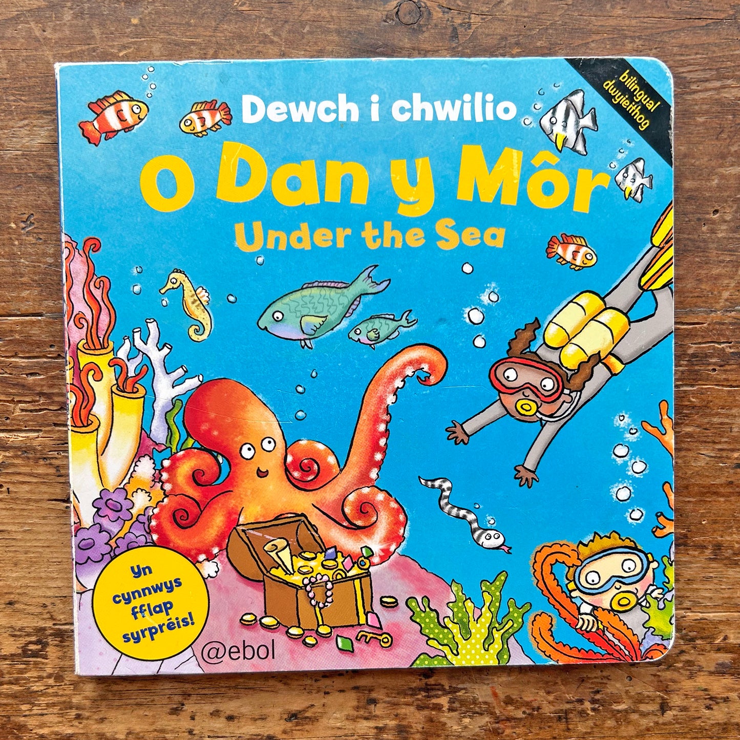 O Dan y Mor - Under the Sea (Preloved)