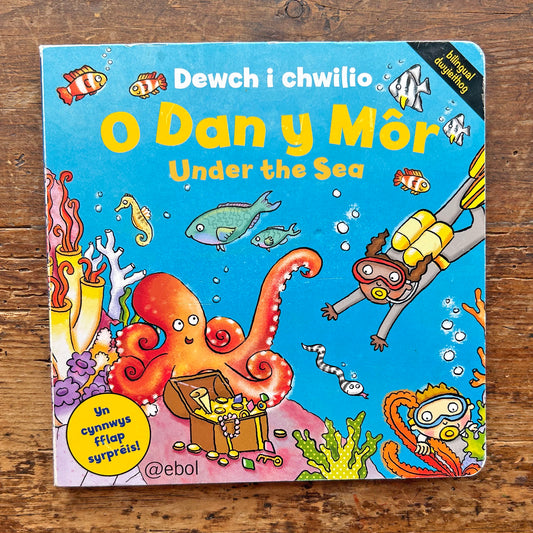 O Dan y Mor - Under the Sea (Preloved)