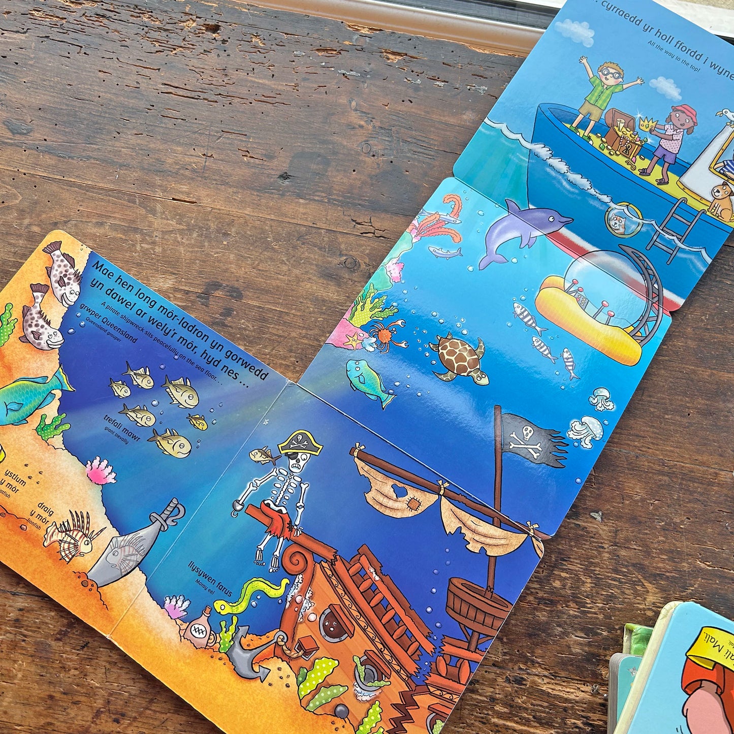 O Dan y Mor - Under the Sea (Preloved)