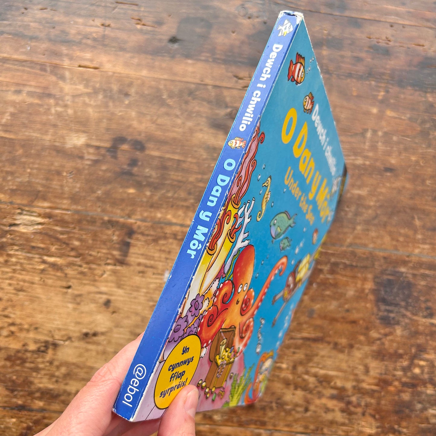 O Dan y Mor - Under the Sea (Preloved)