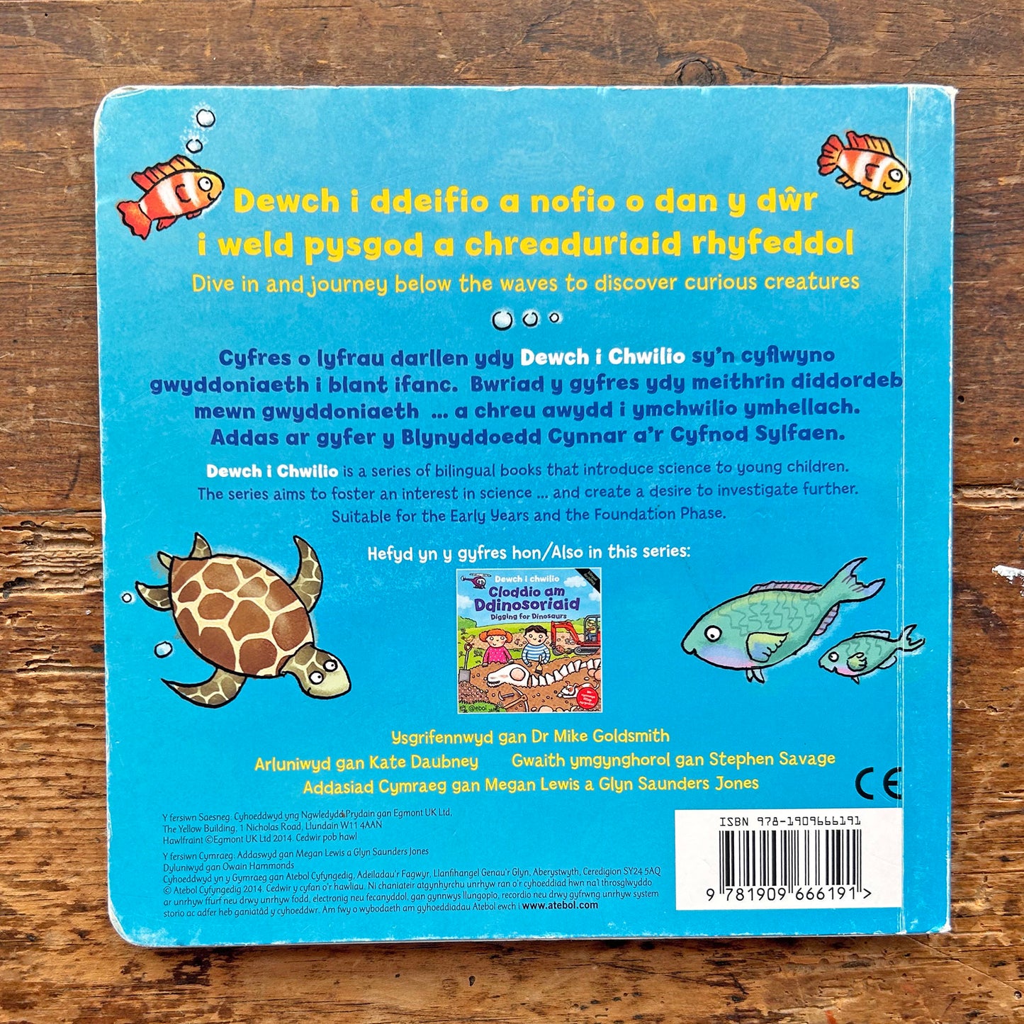 O Dan y Mor - Under the Sea (Preloved)