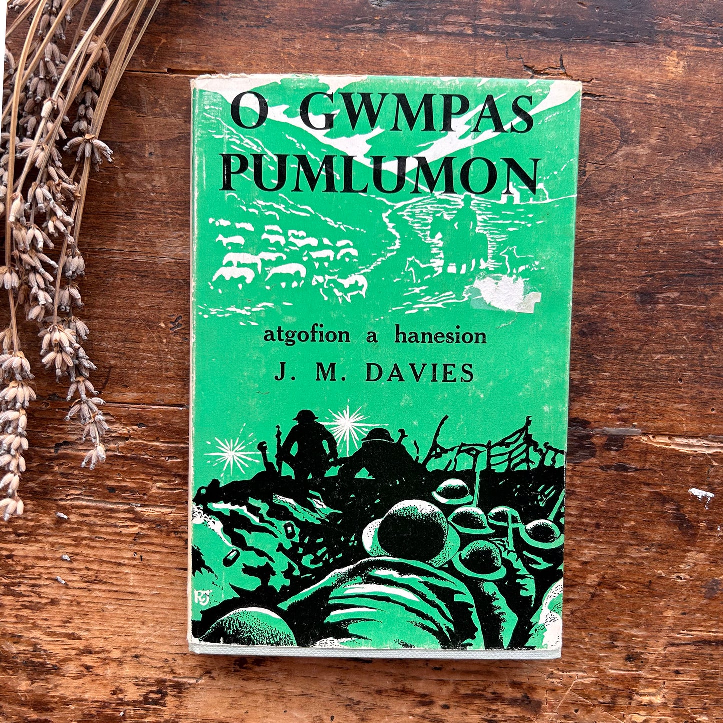 O Gwmpas Pumlumon - J. M. Davies 1966 1st edition (Preloved)