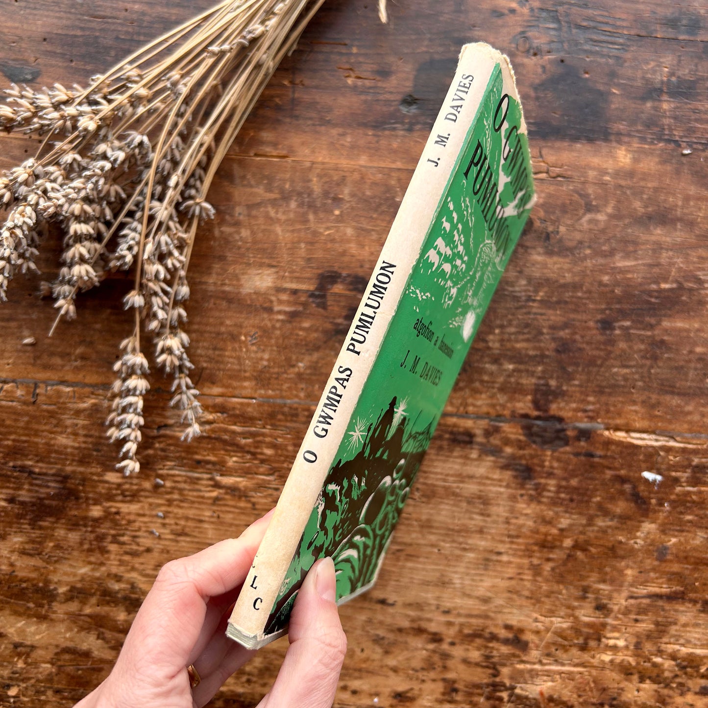 O Gwmpas Pumlumon - J. M. Davies 1966 1st edition (Preloved)