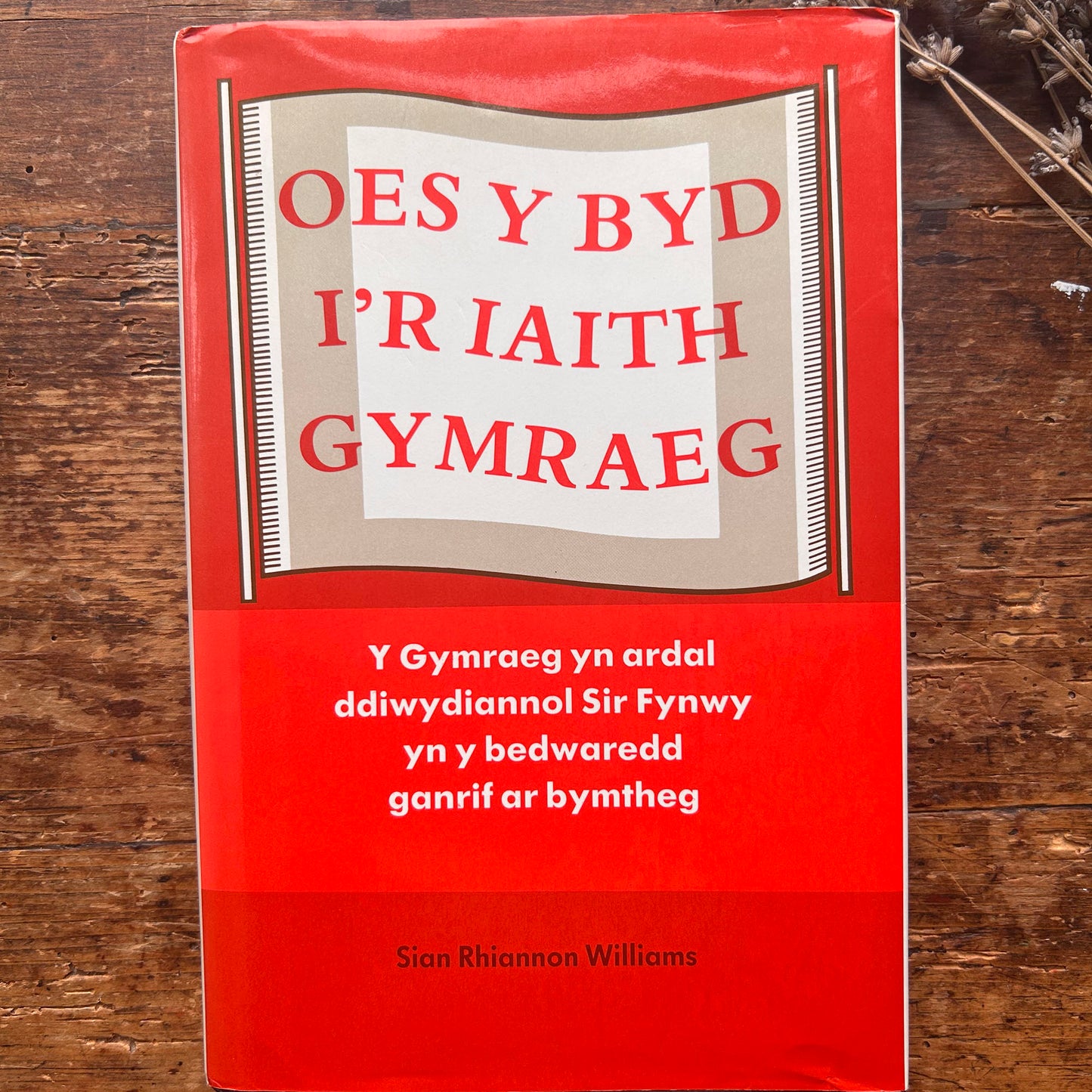 Nedw - E. Tegla Davies - Byrddau Glas - 1922 (Wedi'i ail-law)