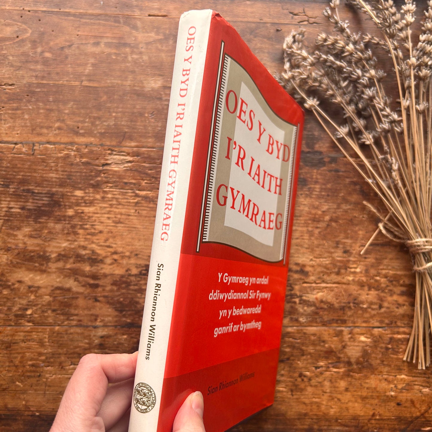 Nedw - E. Tegla Davies - Byrddau Glas - 1922 (Wedi'i ail-law)