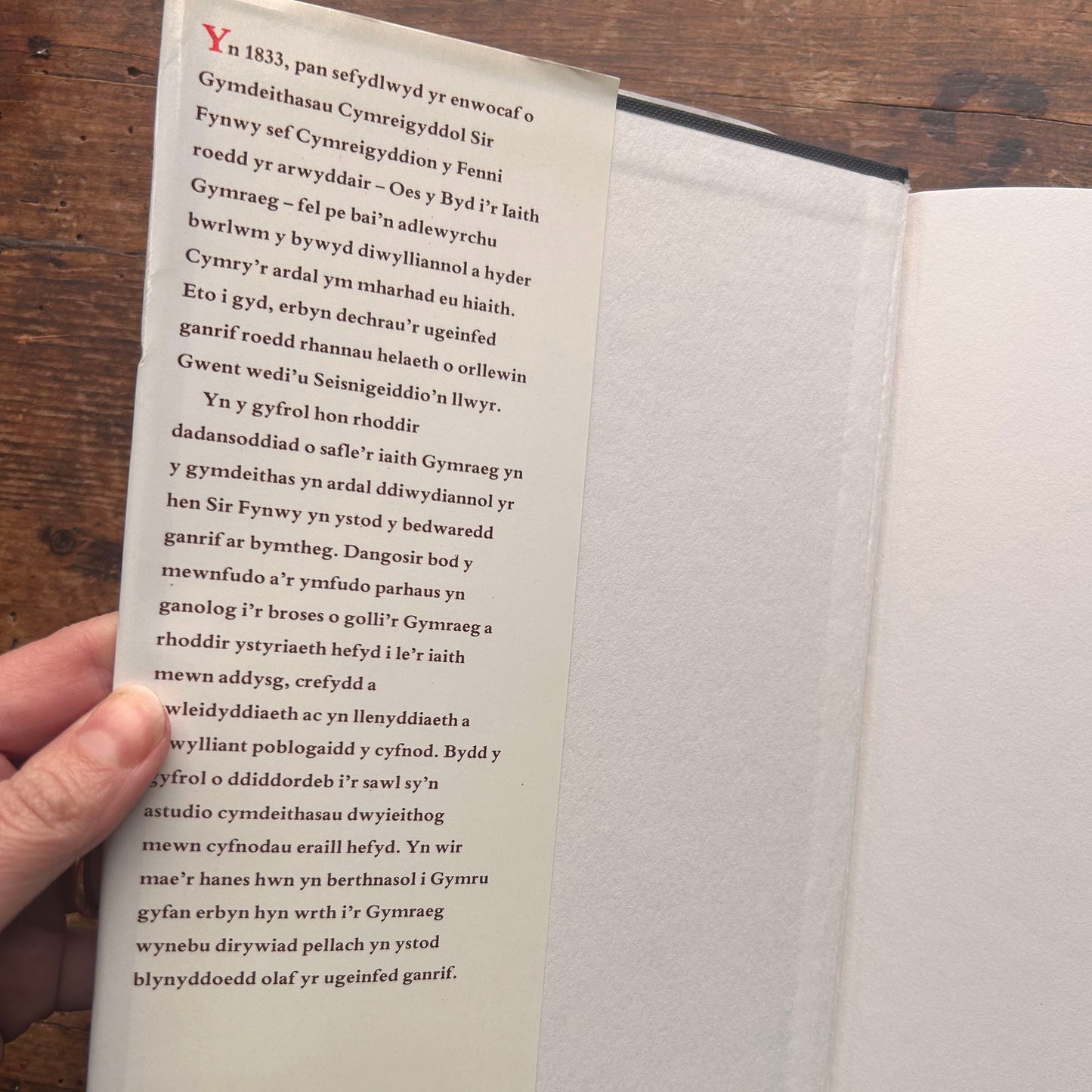 Nedw - E. Tegla Davies - Byrddau Glas - 1922 (Wedi'i ail-law)