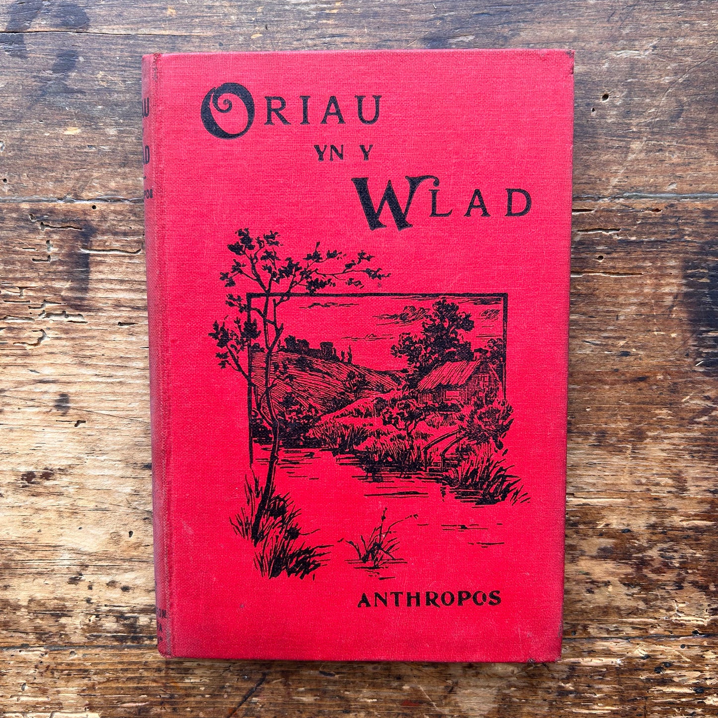 William Jones - Nofel Gan T. Rowland Hughes - 1951 (Rhag-gariad)