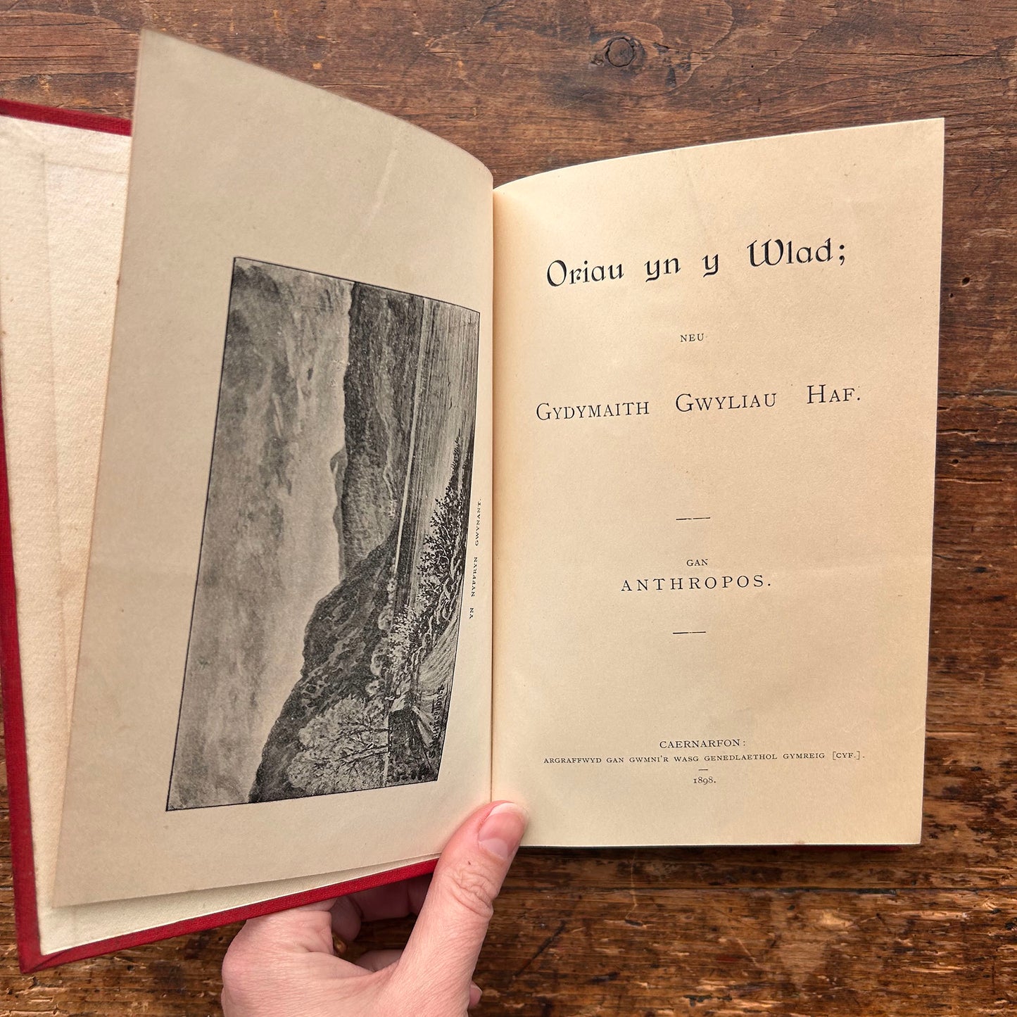 William Jones - Nofel Gan T. Rowland Hughes - 1951 (Rhag-gariad)