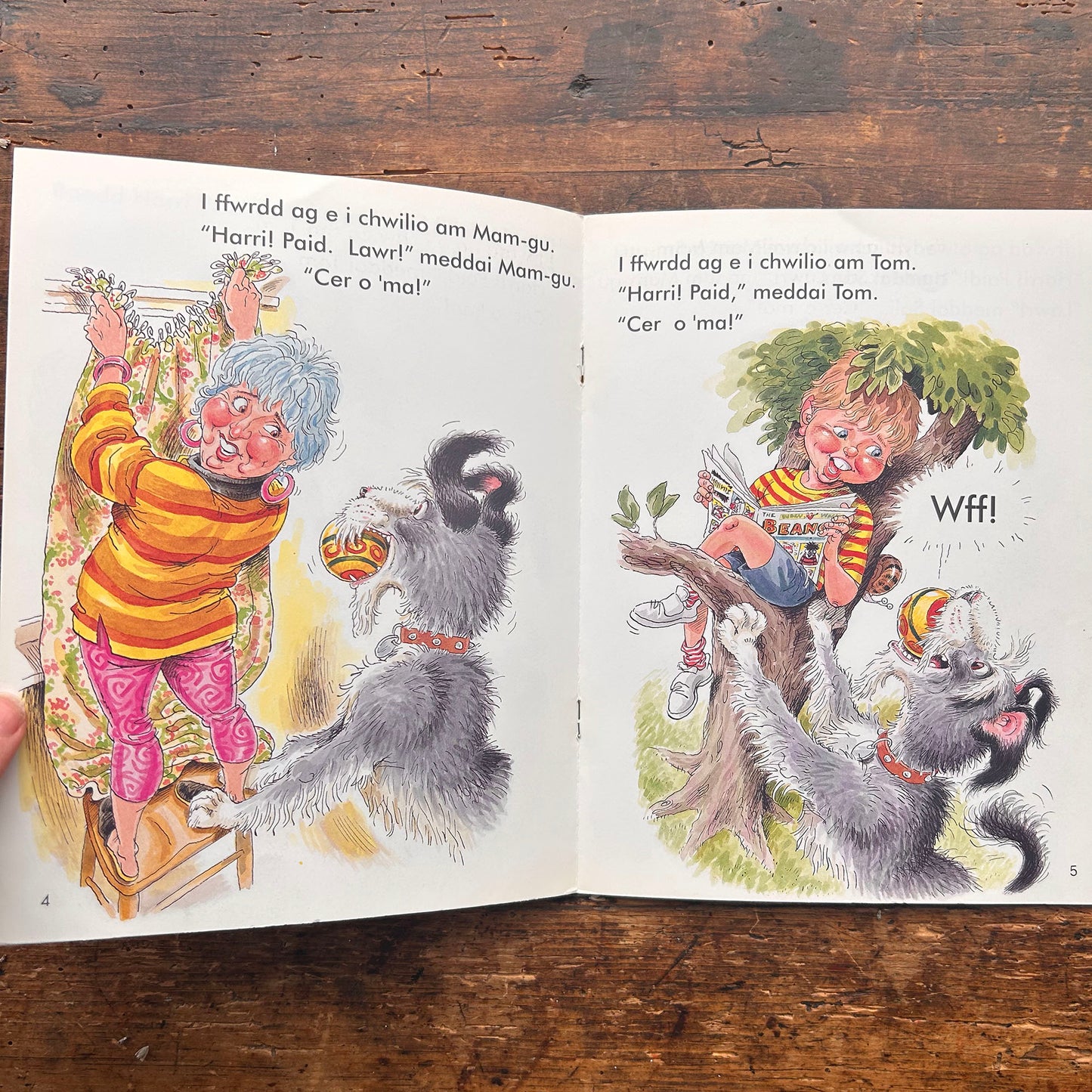 Paid! Harri Parri! Paid! 1996 (Preloved)