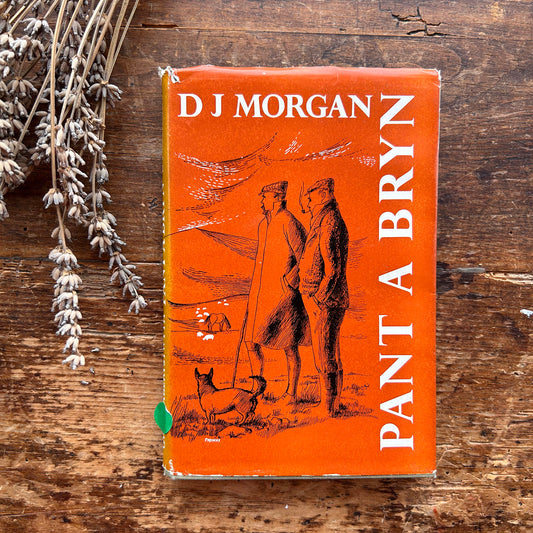 Pant a Bryn - D J Morgan - 1953 (Preloved)