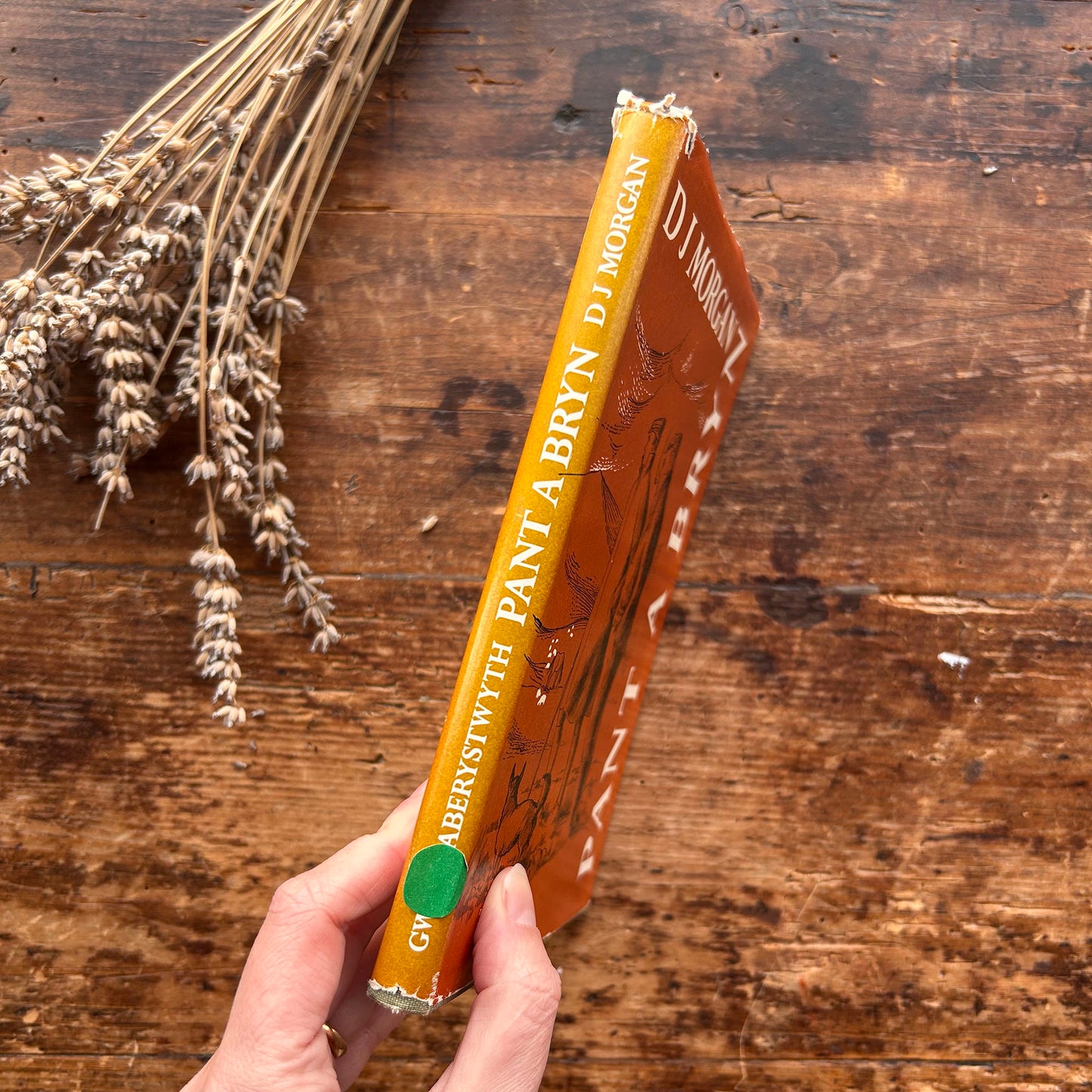 Pant a Bryn - D J Morgan - 1953 (Preloved)