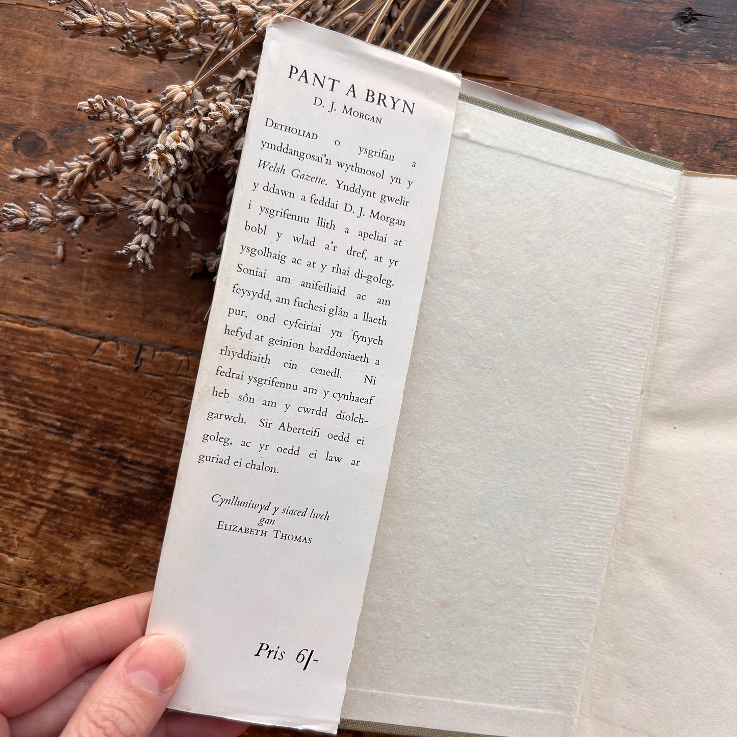 Pant a Bryn - D J Morgan - 1953 (Preloved)