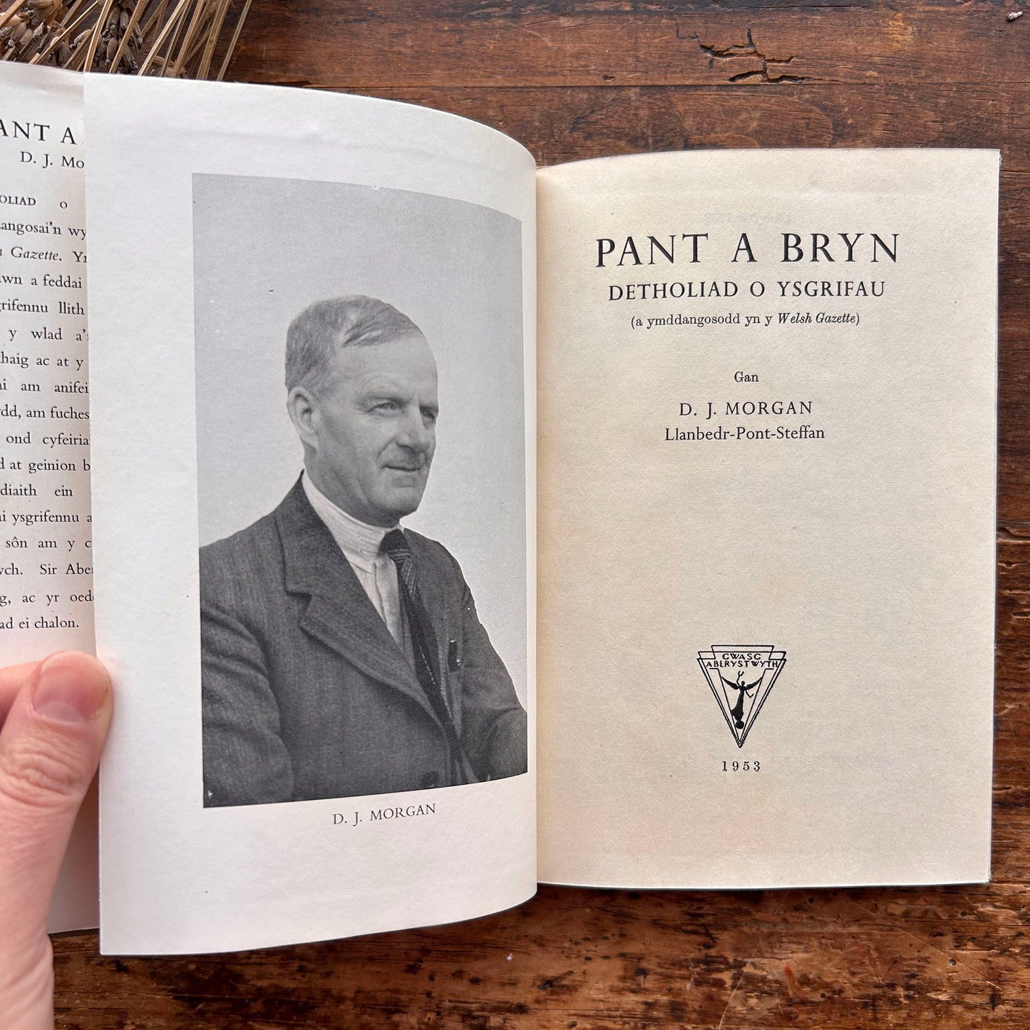 Pant a Bryn - D J Morgan - 1953 (Preloved)