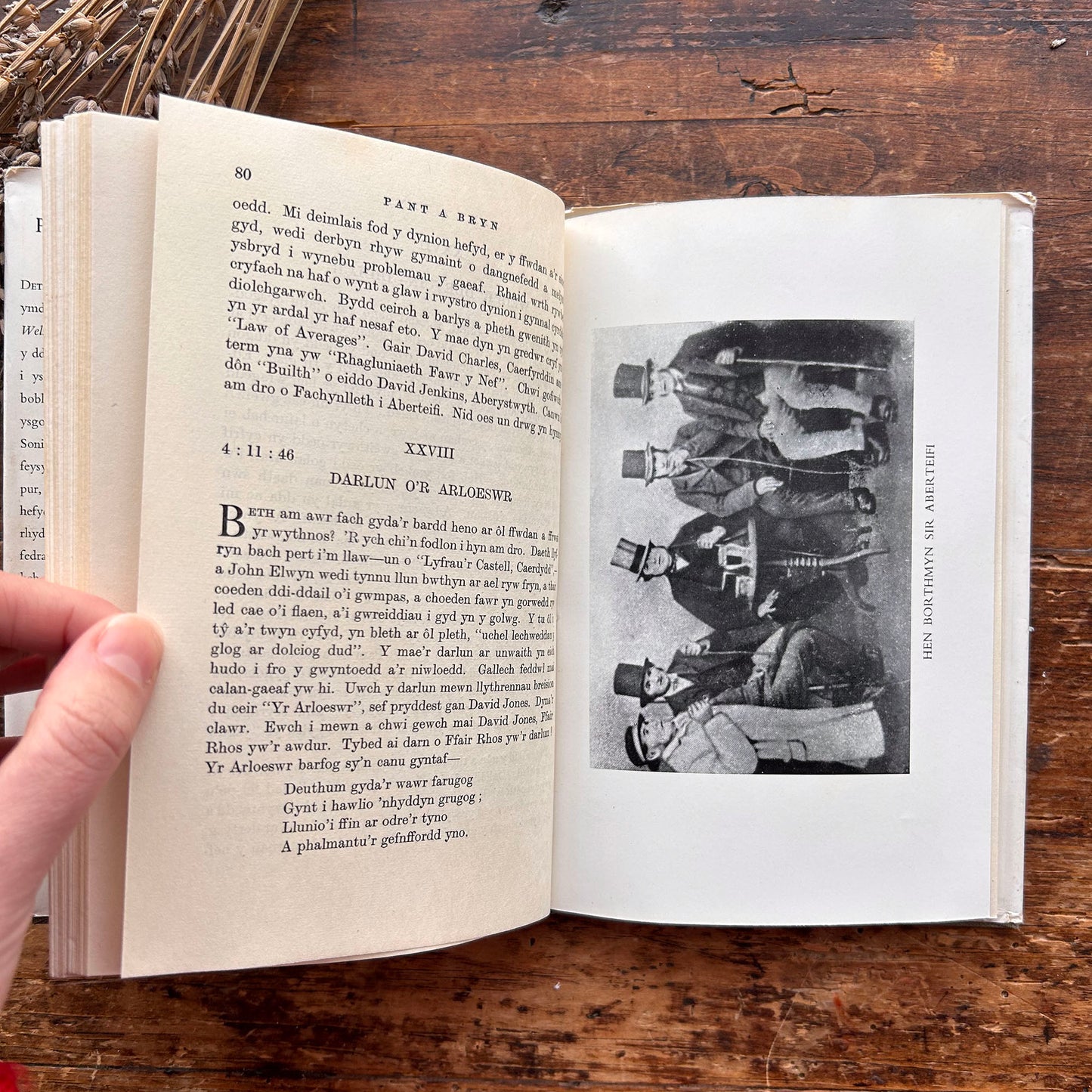 Pant a Bryn - D J Morgan - 1953 (Preloved)