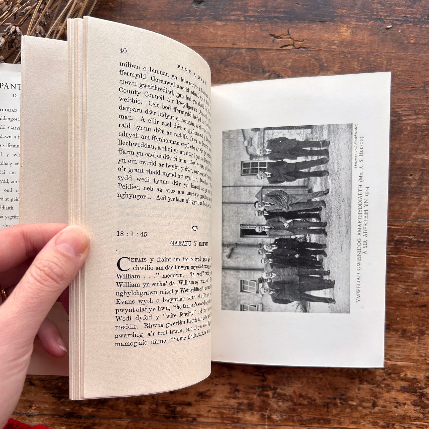 Pant a Bryn - D J Morgan - 1953 (Preloved)