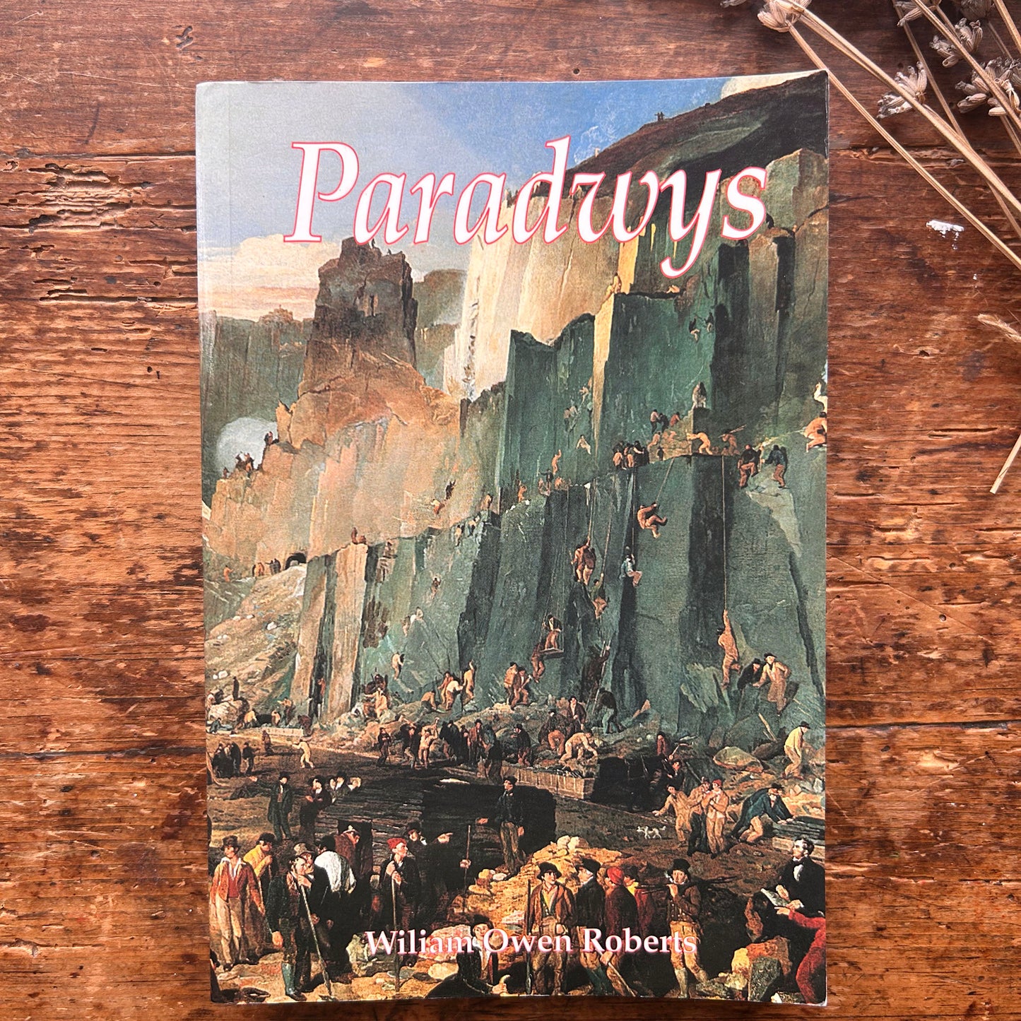 Nedw - E. Tegla Davies - Byrddau Glas - 1922 (Wedi'i ail-law)