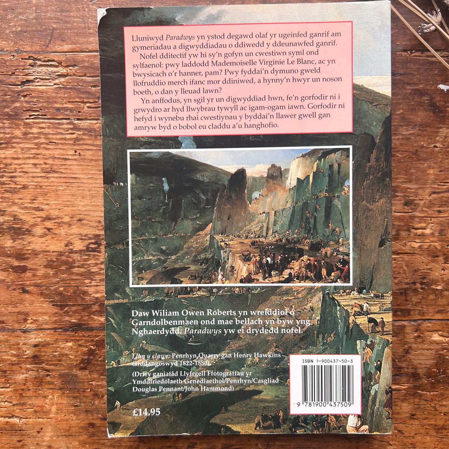 Nedw - E. Tegla Davies - Byrddau Glas - 1922 (Wedi'i ail-law)