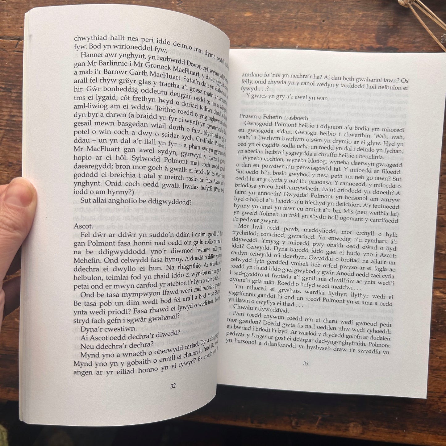 Nedw - E. Tegla Davies - Byrddau Glas - 1922 (Wedi'i ail-law)