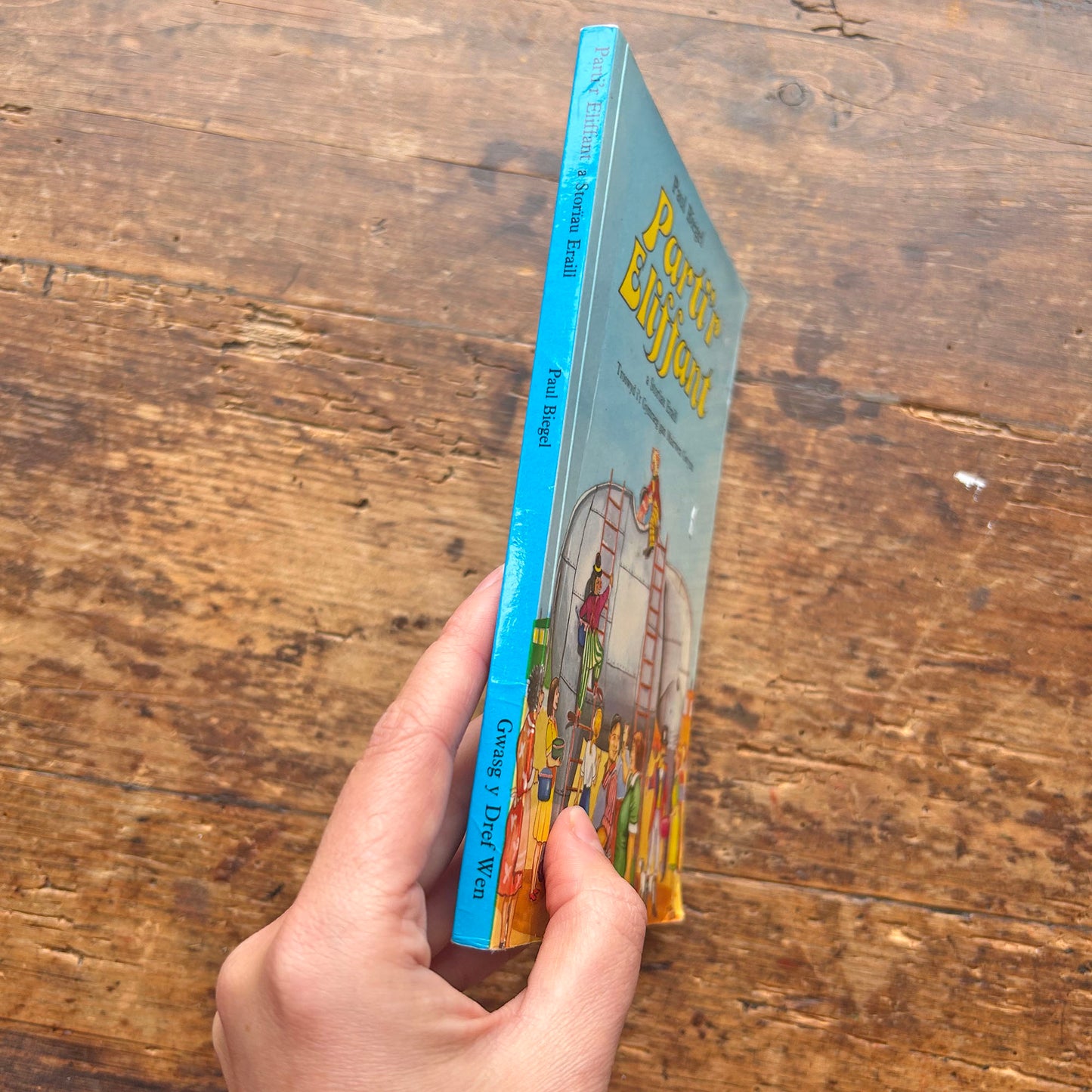 Parti’r Eliffant - Paul Biegel / Mairwen Gwynn (Preloved)