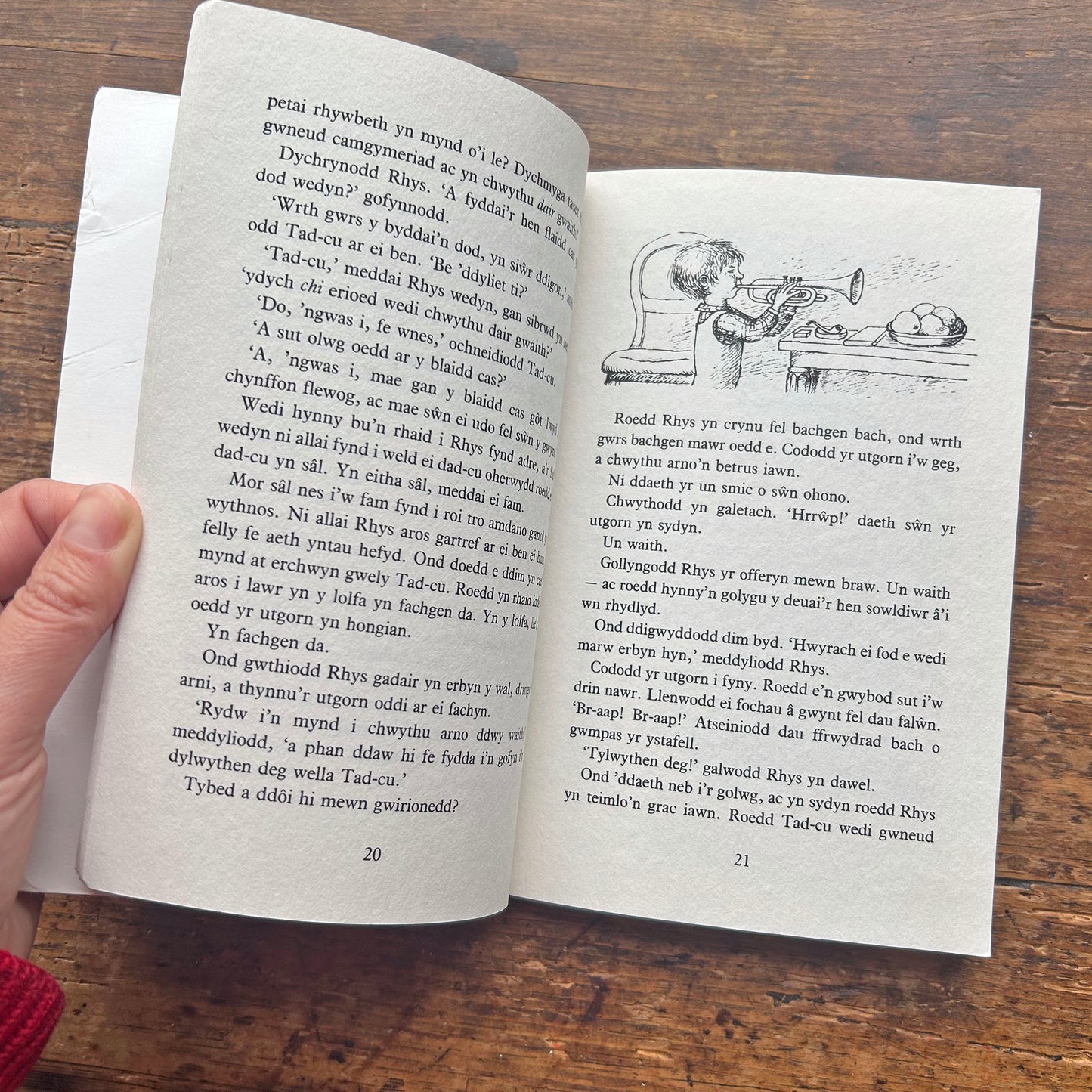 Parti’r Eliffant - Paul Biegel / Mairwen Gwynn (Preloved)